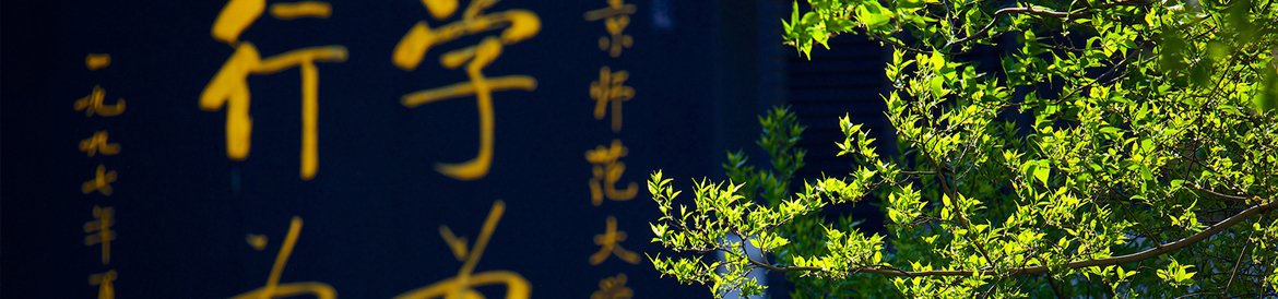工作动态